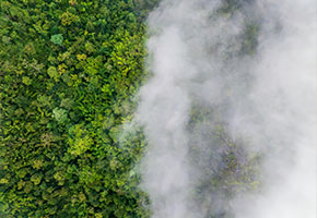 Accounting for all drivers of climate change | Interview with Dr. Drew Shindell
