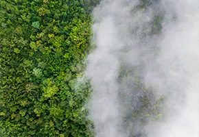 Accounting for all drivers of climate change | Interview with Dr. Drew Shindell