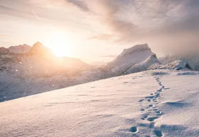 Global Heat Reduction Registry Sheds New Light on Climate Solutions