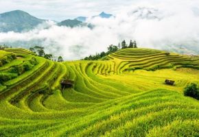 New Rice Farming Methodology from Global Heat Reduction Initiative Zeros in on Projects that Reduce Climate Super Pollutants