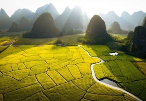 carbon credit methodology