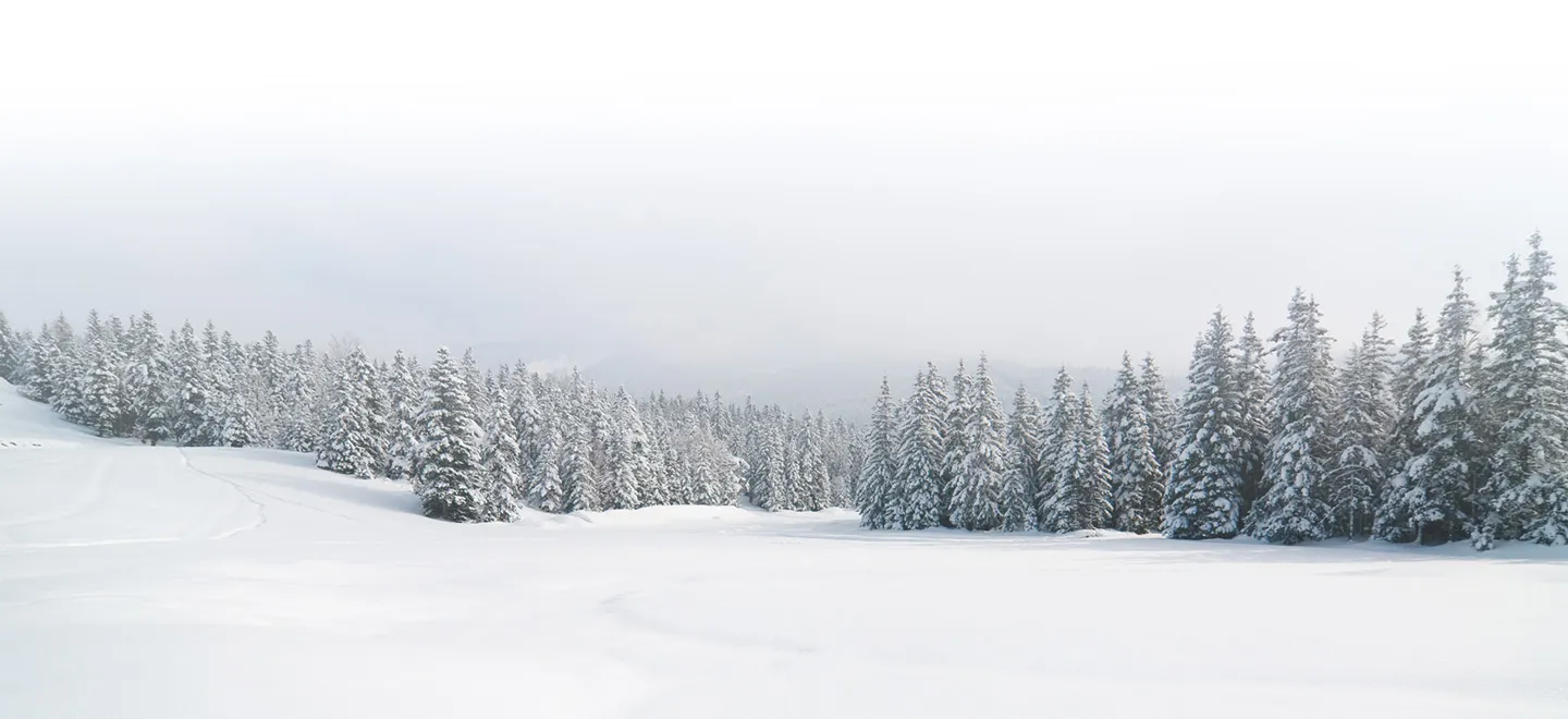 snowy field