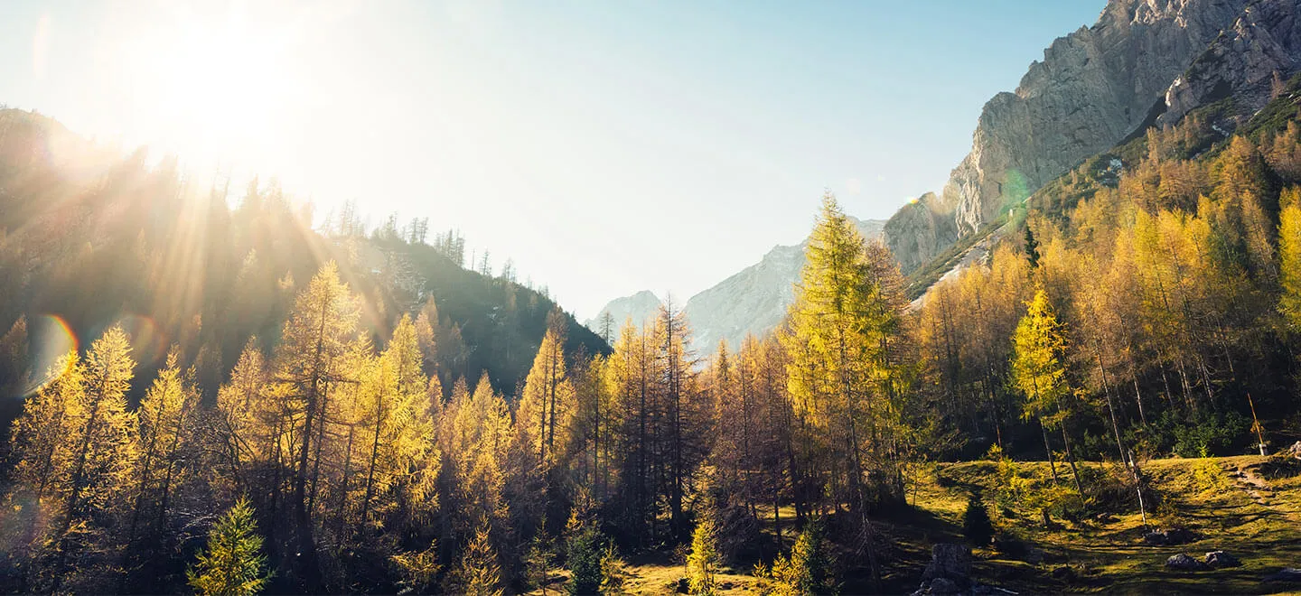 Validation and Verification