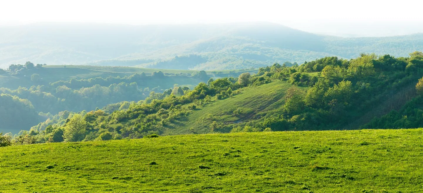  Fast-track your climate impact with Total Climate Accounting™